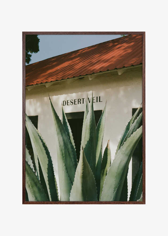Desert Veil