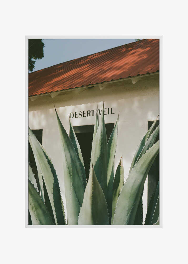 Desert Veil