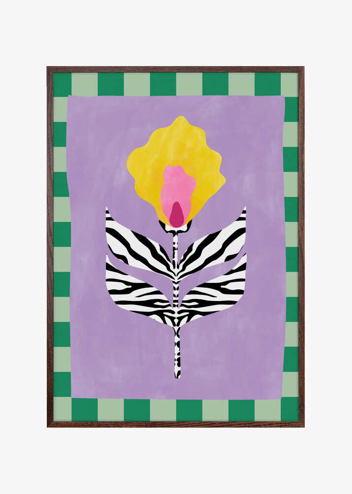 Flower with Zebra Patterned Leaves
