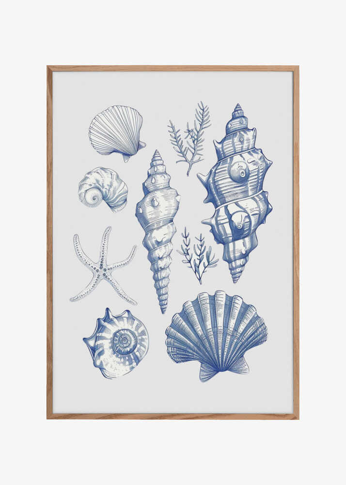 Shell Collage