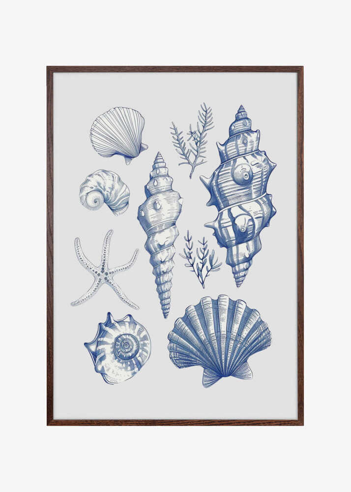 Shell Collage