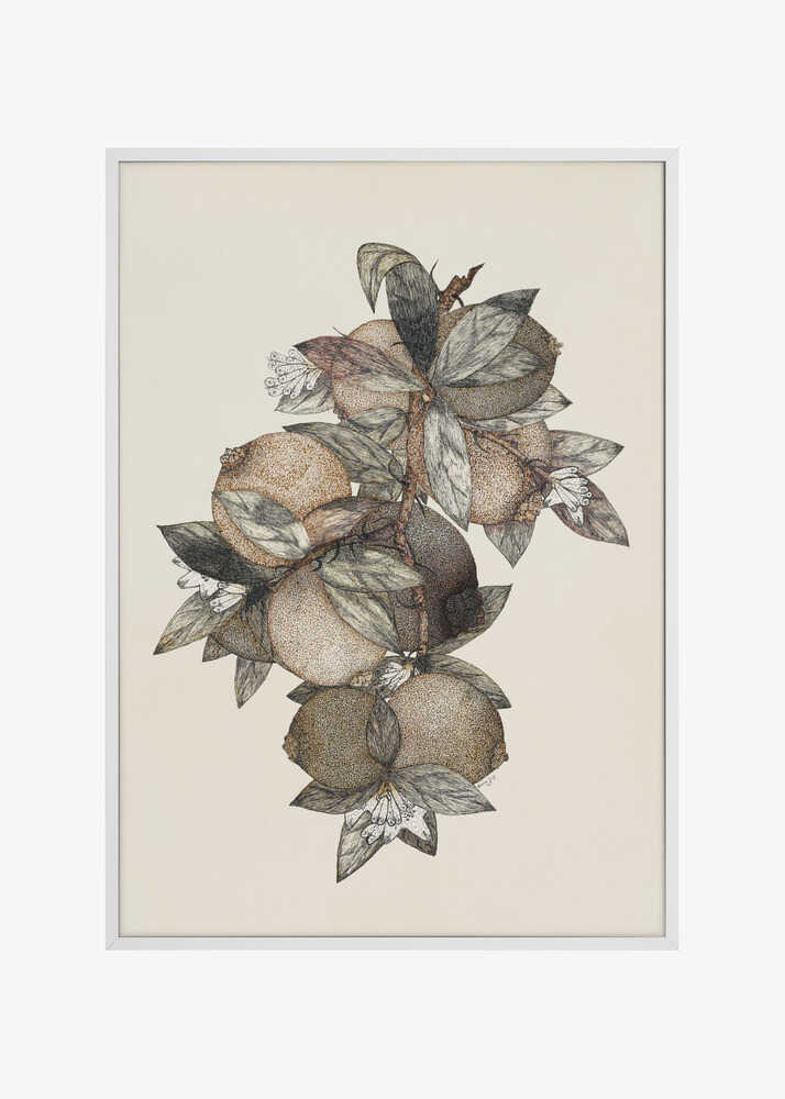 Pomegranate (1867) Rufus King