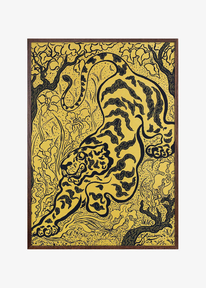 Tigre Dans Les Jungles