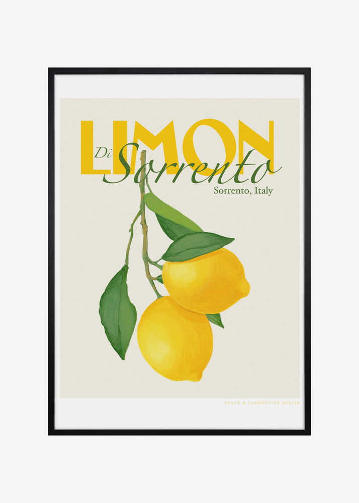 Pandclimondisorrento Copy