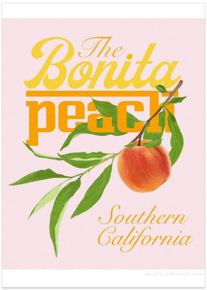 Pandcbonitapeach Copy