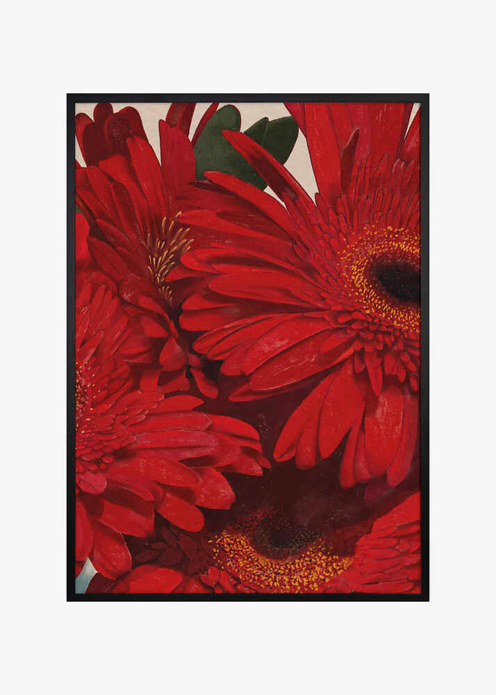 Red Gerbera Daisy Detail
