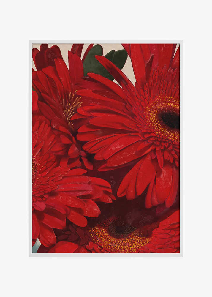 Red Gerbera Daisy Detail