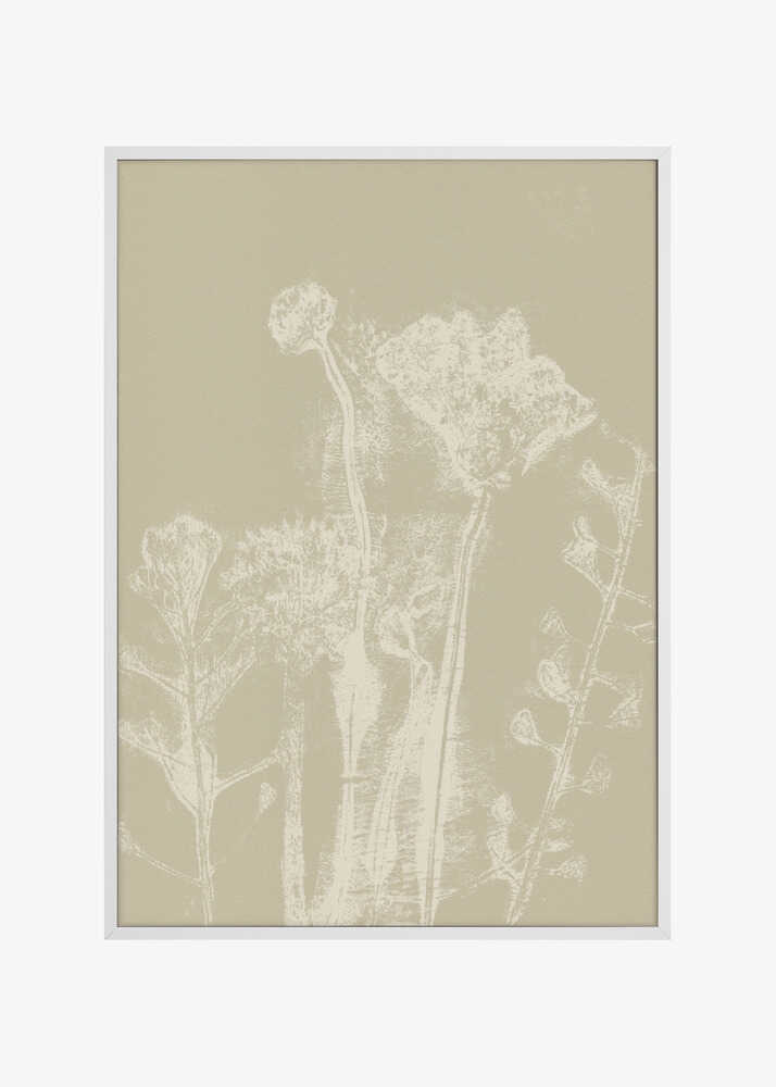 Abstract Florals. White meadow plants and flowers on neutral beige.