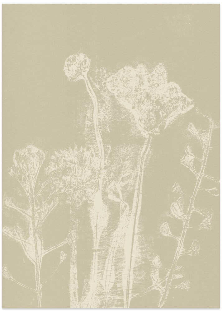 Abstract Florals. White meadow plants and flowers on neutral beige.