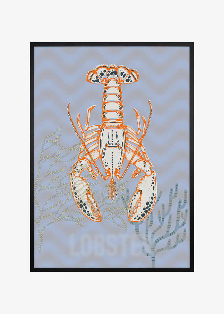 Sea life lobster Neptune&#039;s joy