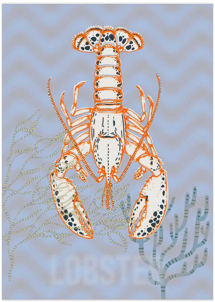 Sea life lobster Neptune&#039;s joy