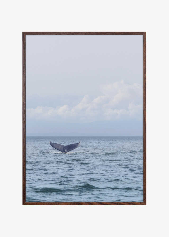 Whale&#039;s Farewell