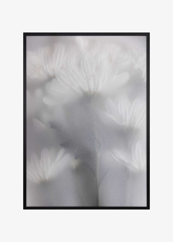 Blurred Flowers 6