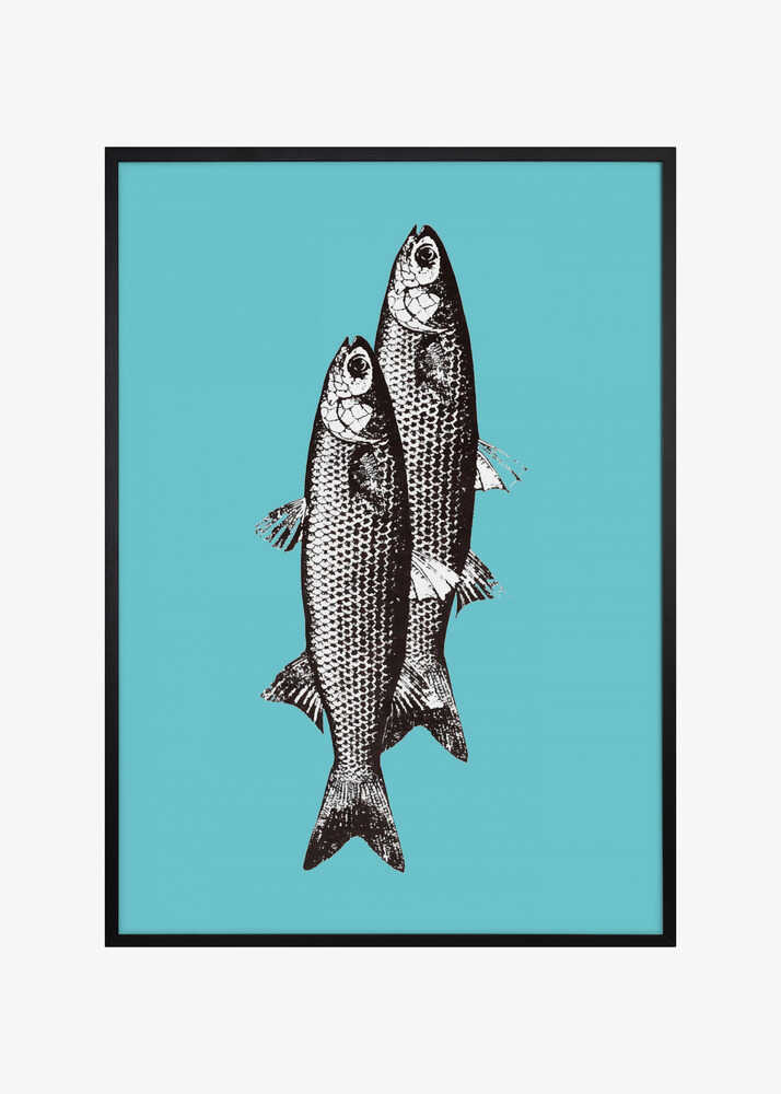 Sardinas