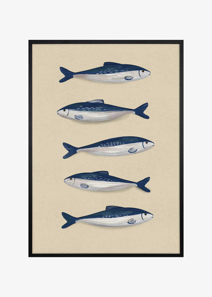 Sardines