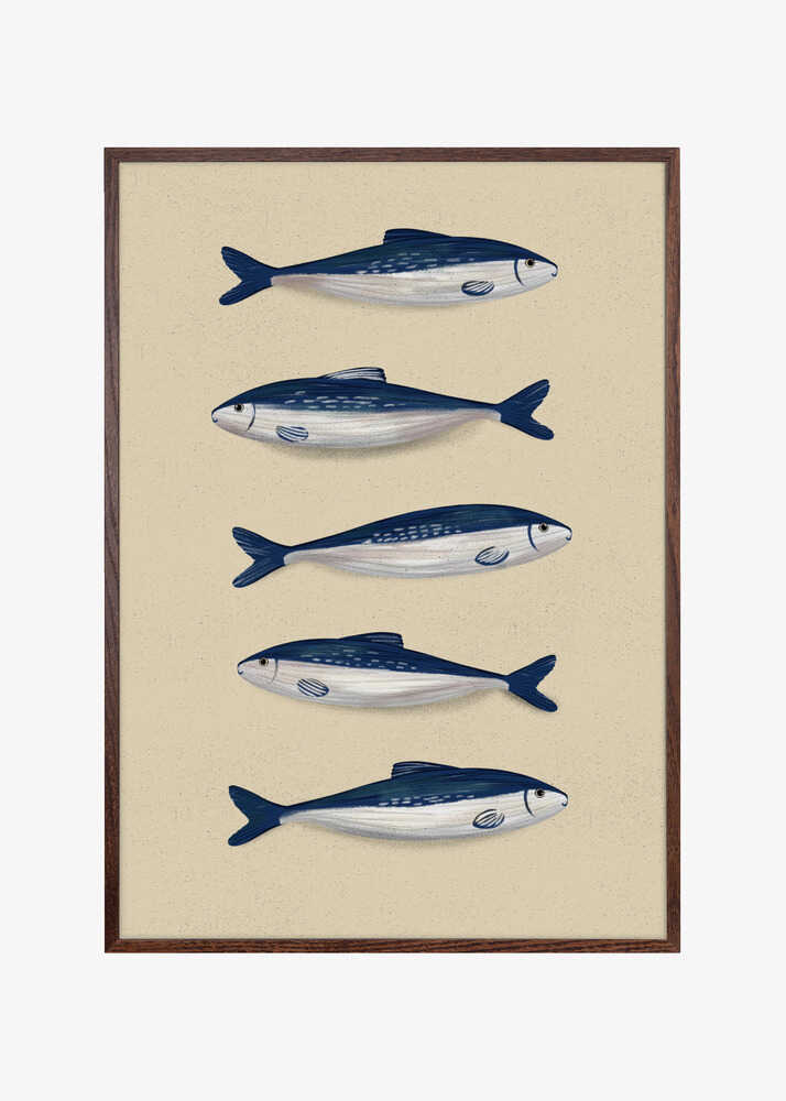 Sardines