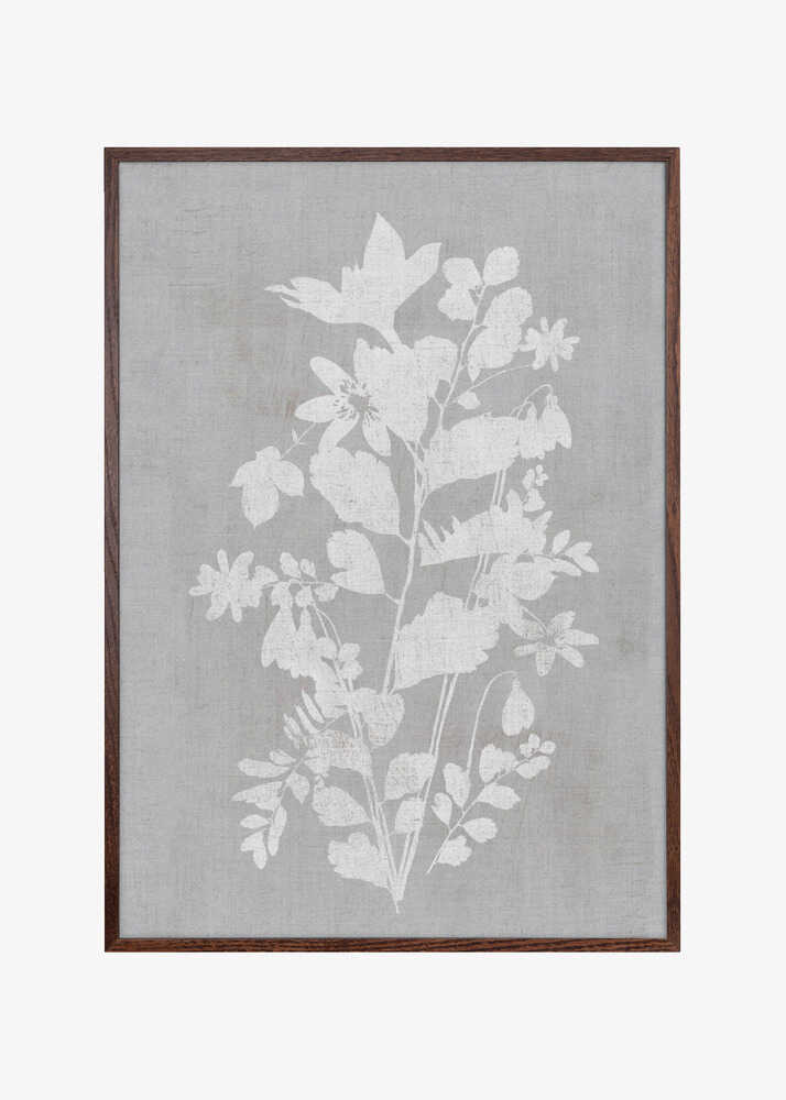 Botanical Illustration 2