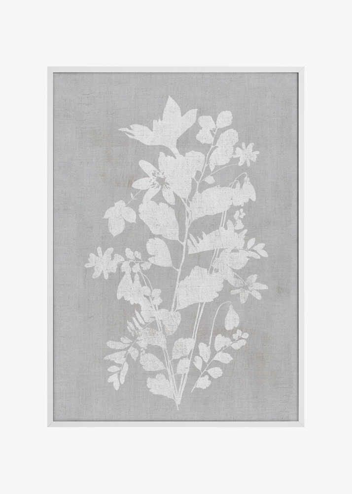 Botanical Illustration 2