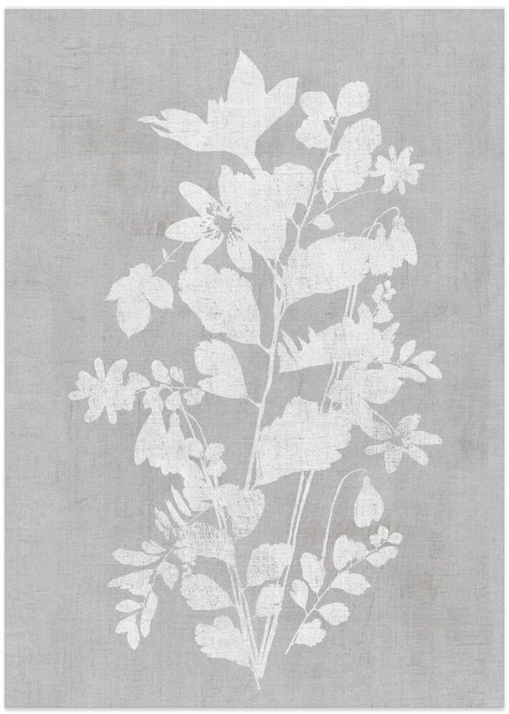 Botanical Illustration 2