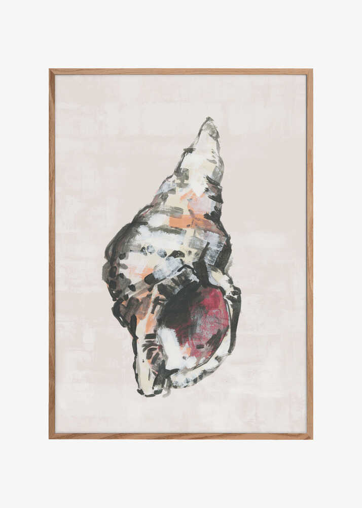 Shell Collector Art Print No 2