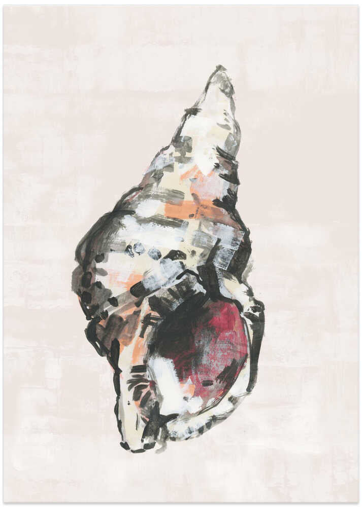 Shell Collector Art Print No 2