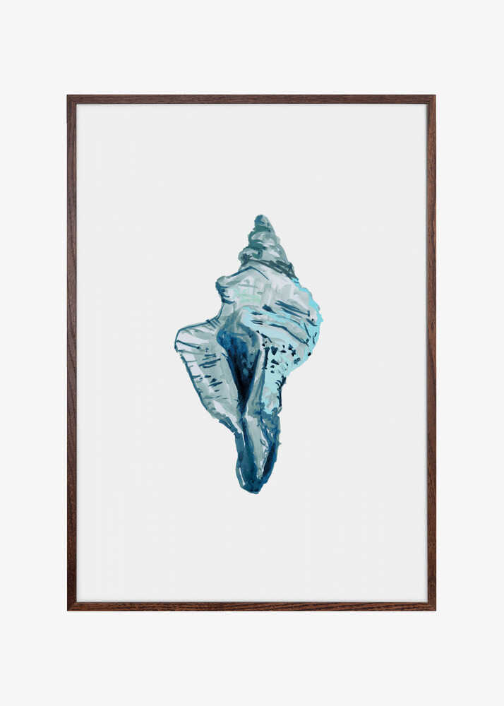 Blue Seashell On White Background No4