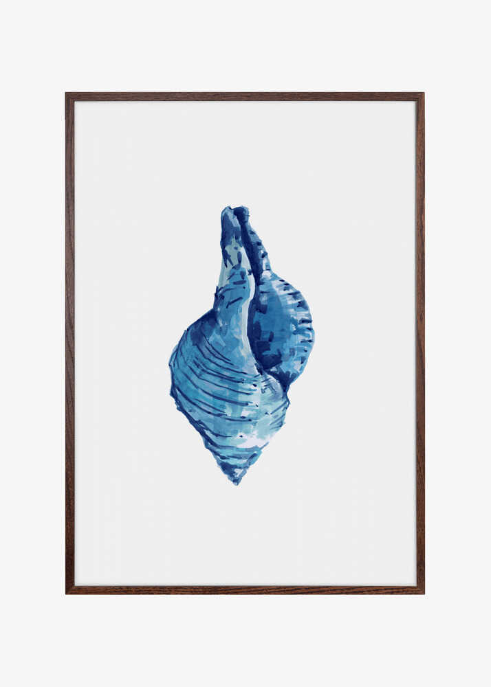 Blue Seashell On White Background No3