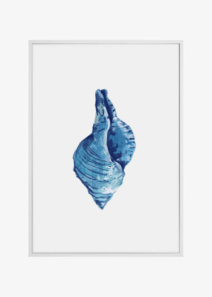 Blue Seashell On White Background No3