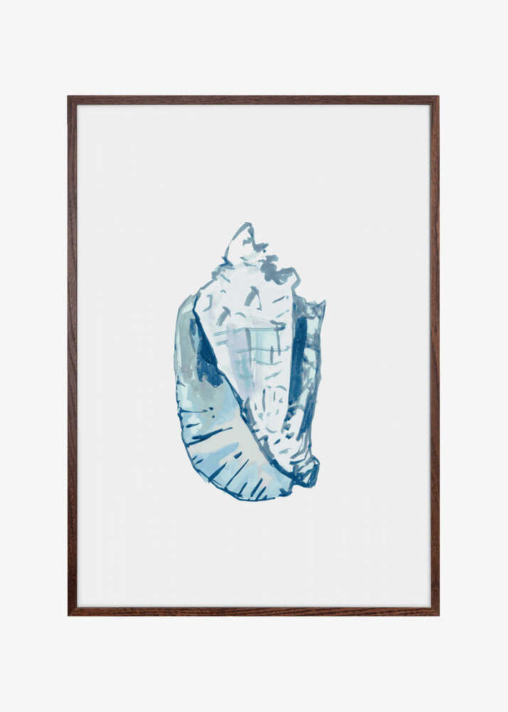Blue Seashell On White Background No6