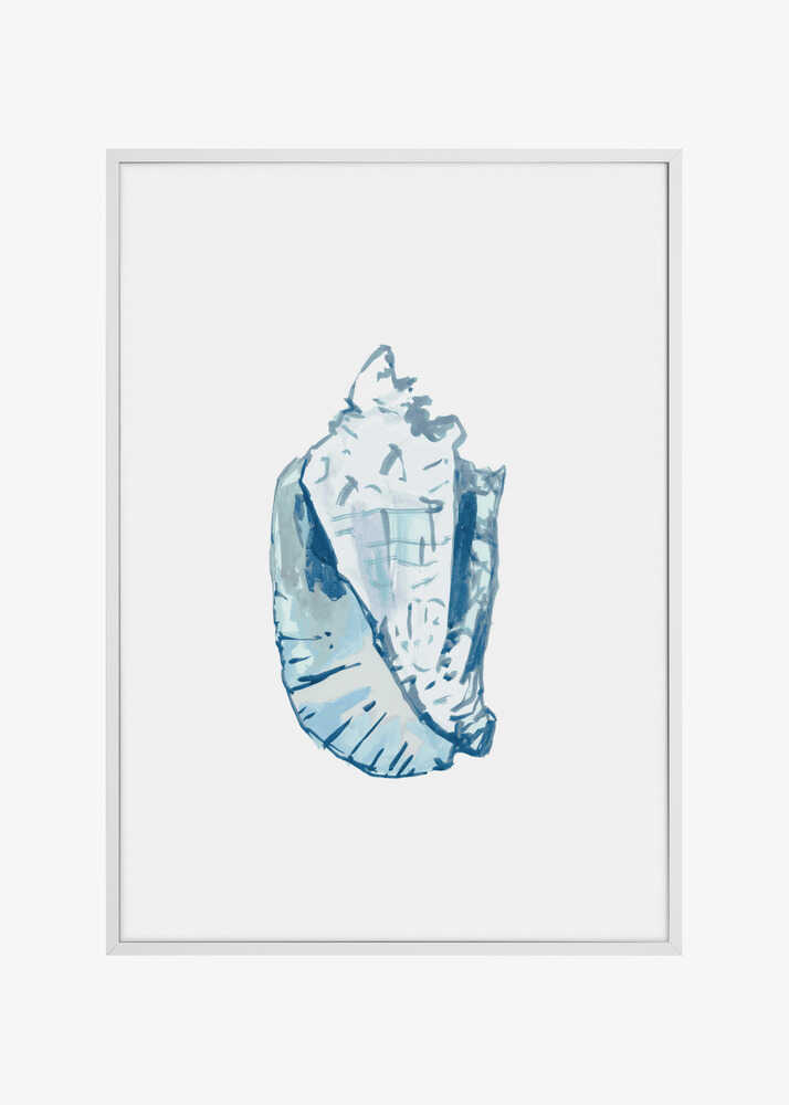 Blue Seashell On White Background No6
