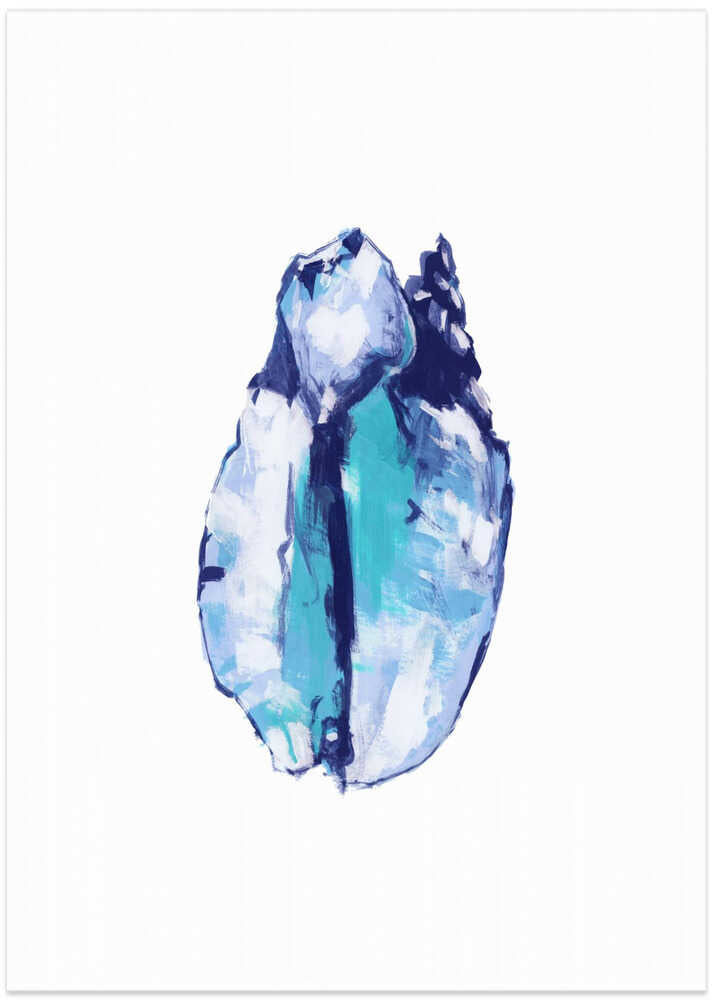 Blue Seashell On White Background No5