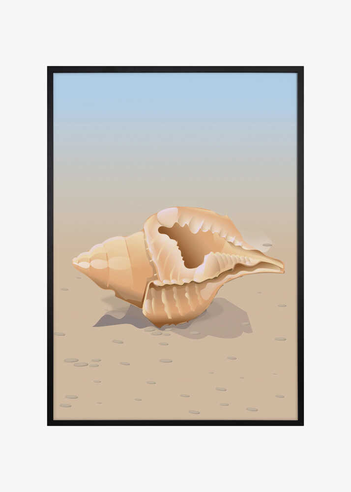 Seaside Shell