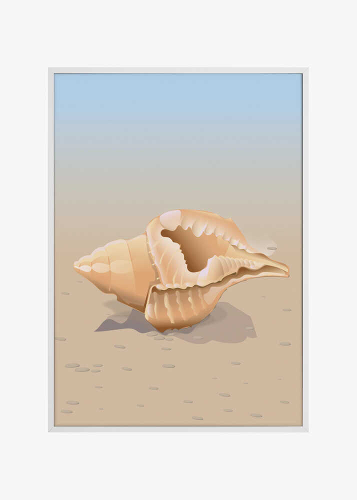 Seaside Shell