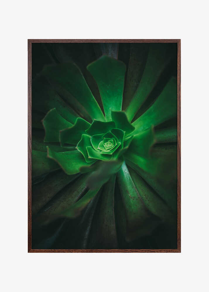 Green Spiral Bloom