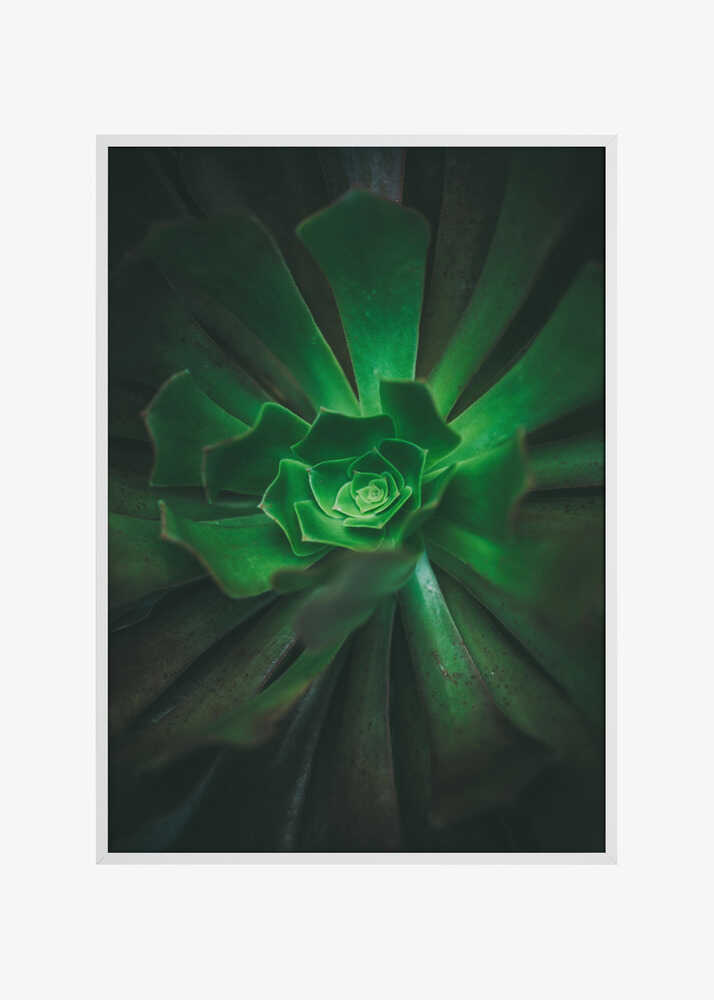 Green Spiral Bloom
