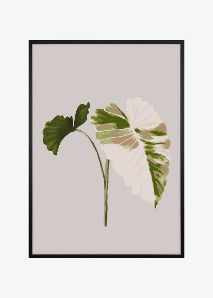 Filodentro Tropical Leaves