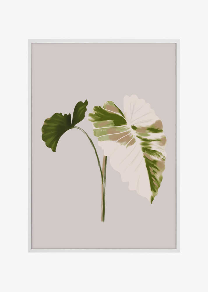 Filodentro Tropical Leaves