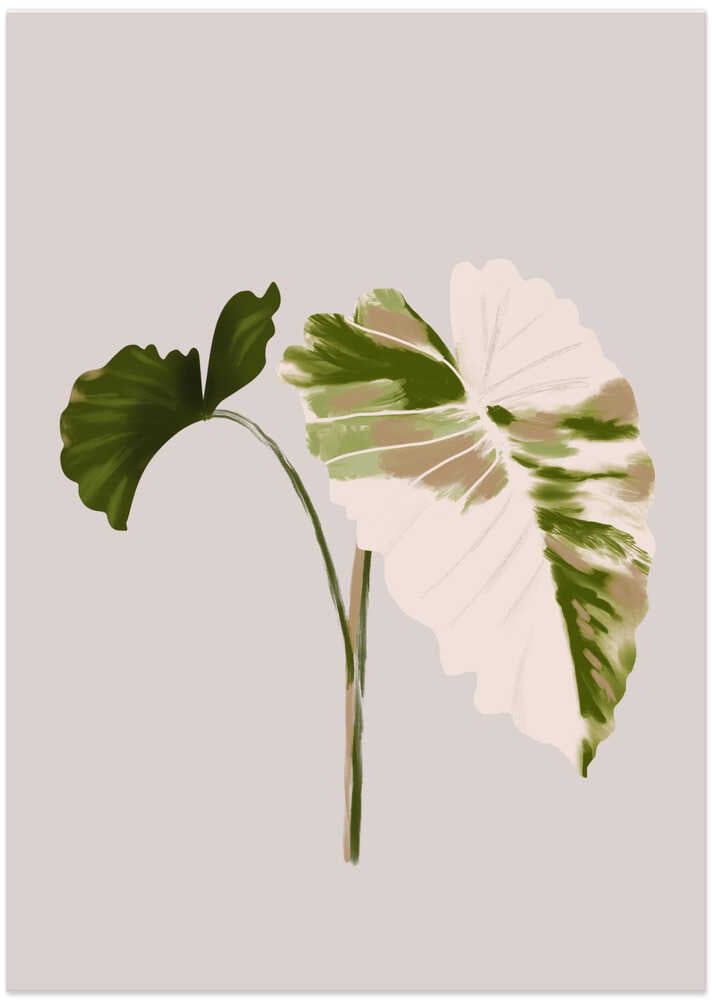 Filodentro Tropical Leaves