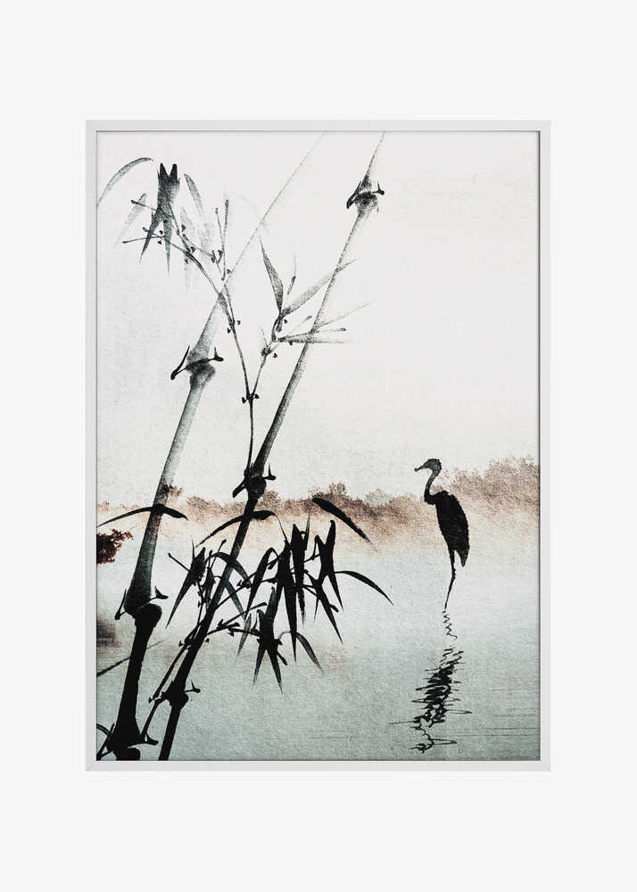 Tranquil Reflections