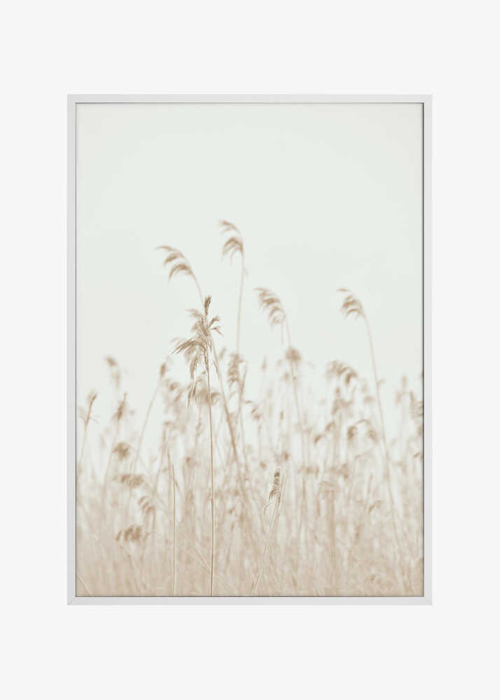 Winter reed