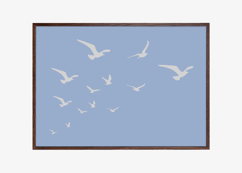 Seagulls Blue Background