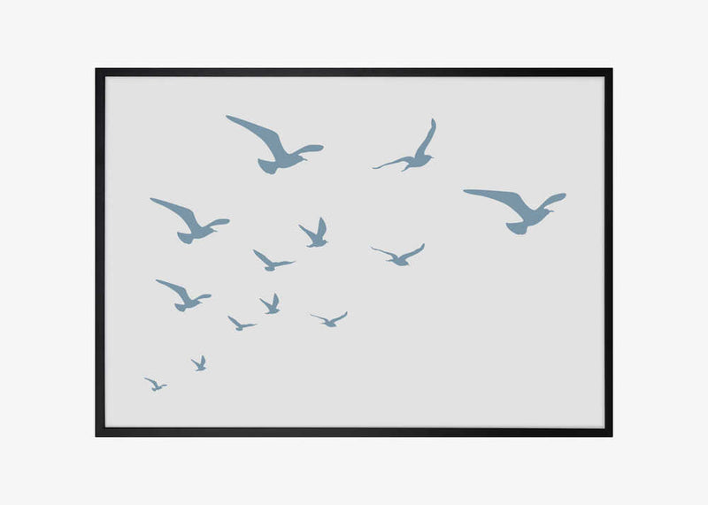 Seagulls White Background