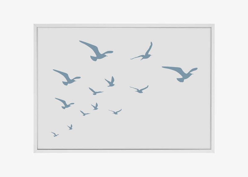 Seagulls White Background