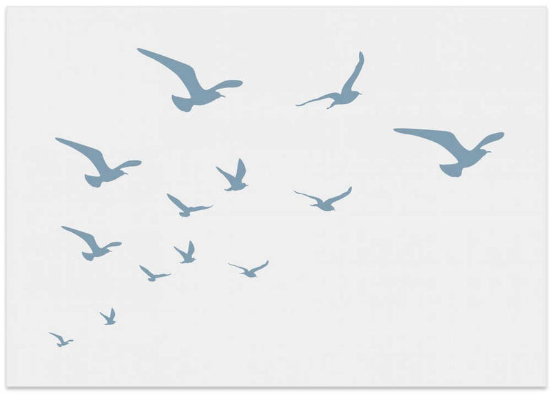 Seagulls White Background