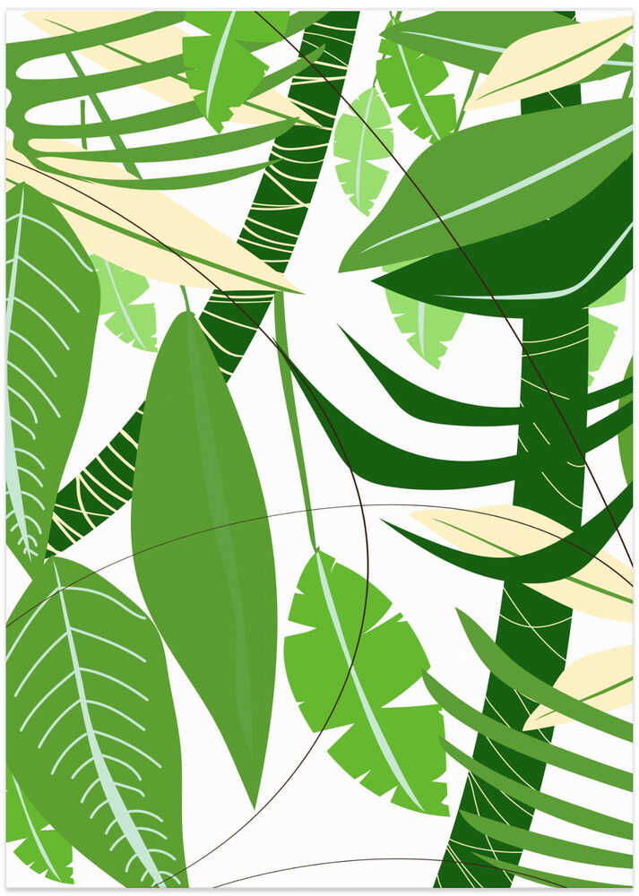 Lush Green Leaves And Tropical Foliage