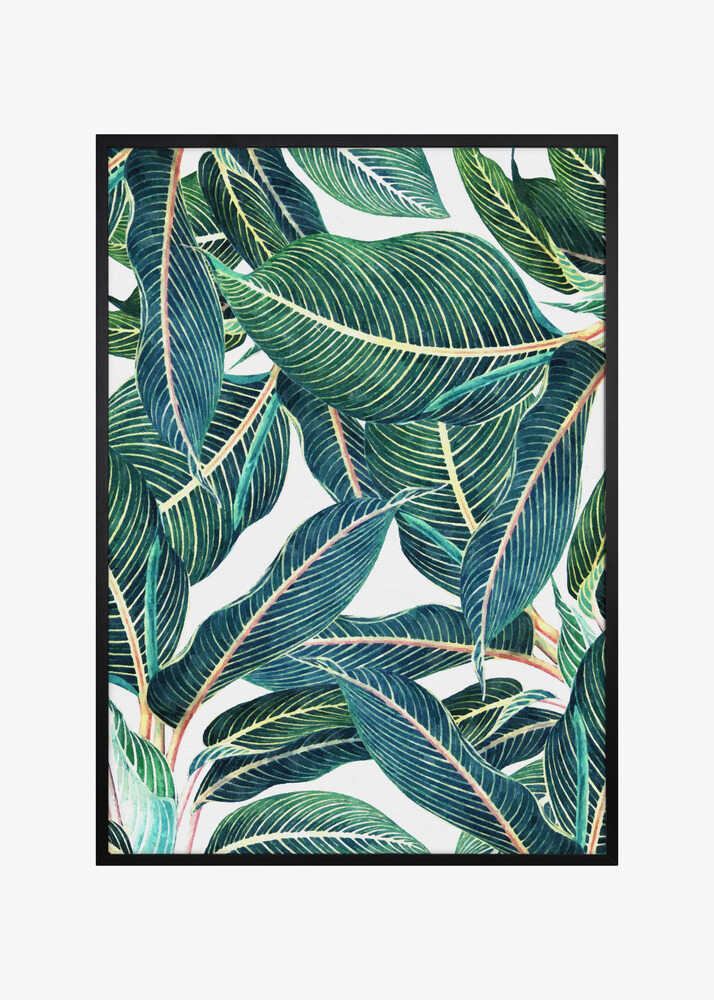 Edge and Dance Botanical