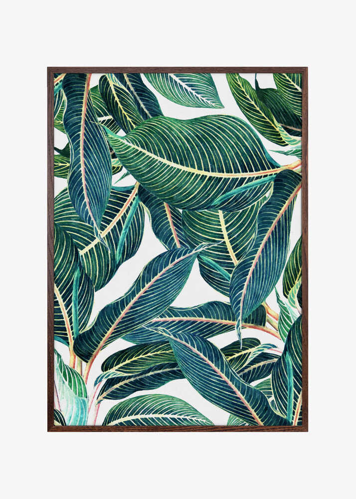 Edge and Dance Botanical