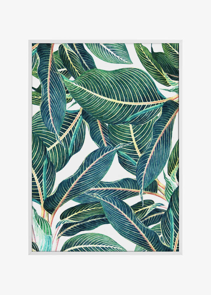 Edge and Dance Botanical