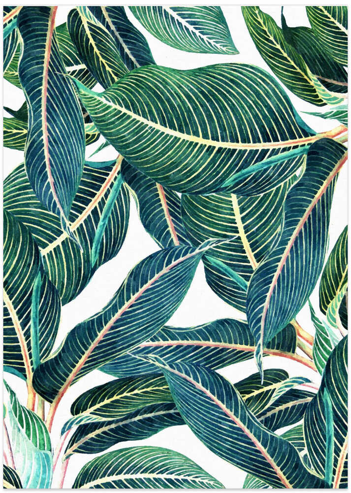 Edge and Dance Botanical