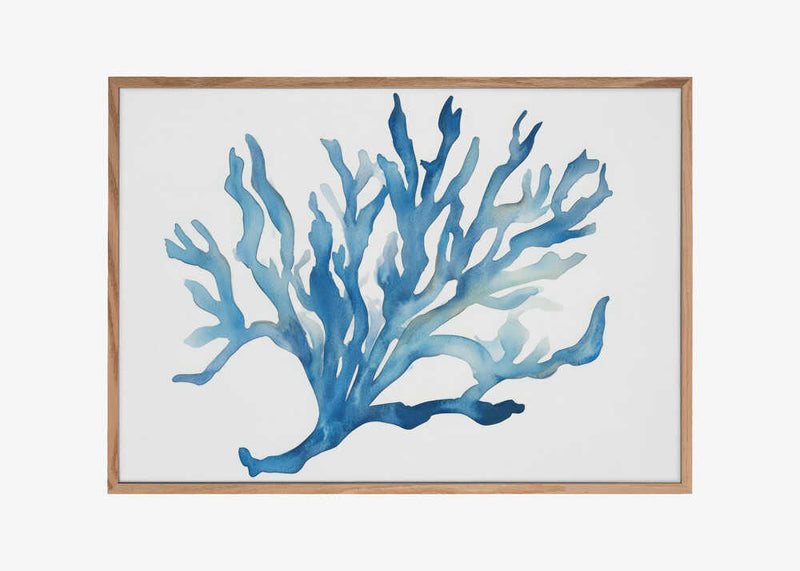 Blue Coral